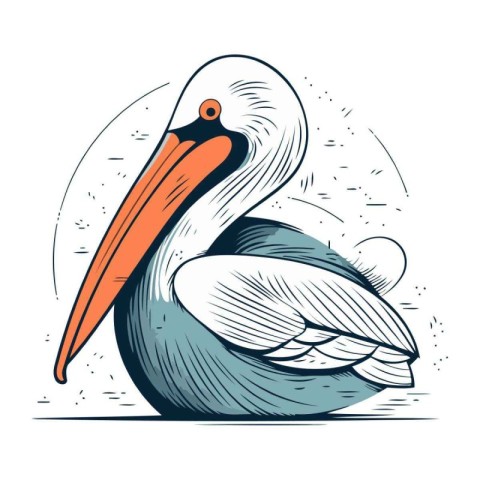 Pelican vector illustration. Hand drawn sketch of pelican.