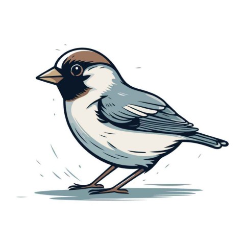 Chickadee bird. Hand drawn vector illustration isolated on white