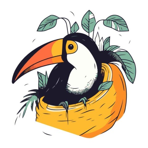 Toucan bird in a nest. Hand drawn vector illustration.