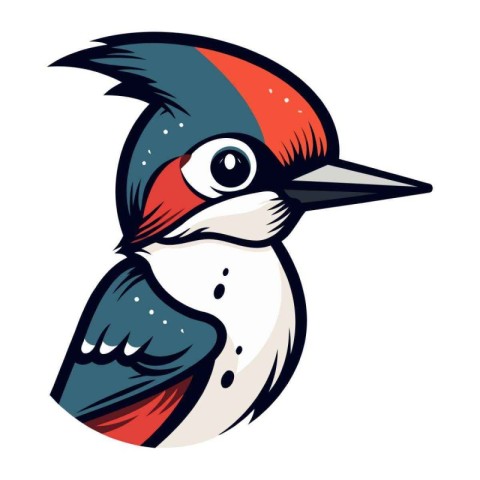 Hand drawn vector illustration of a great spotted woodpecker bir