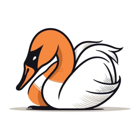 swan isolated on white background. vector illustration. eps 10