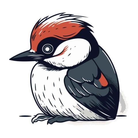 Woodpecker isolated on white background. Hand drawn vector illus