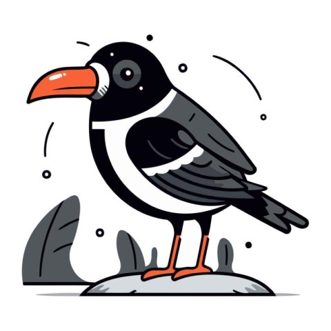 Vector illustration of a cute black and white bird on white back