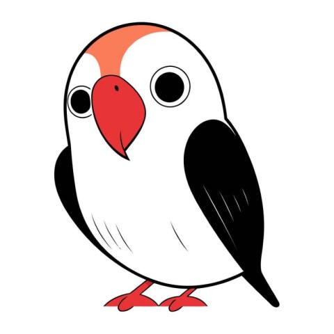 Parakeet bird isolated on a white background. Vector illustratio