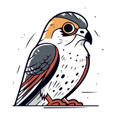 Sketch of a falcon on a white background. Vector illustration