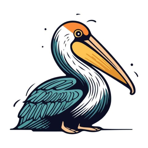 Pelican isolated on white background. Hand drawn vector illustra