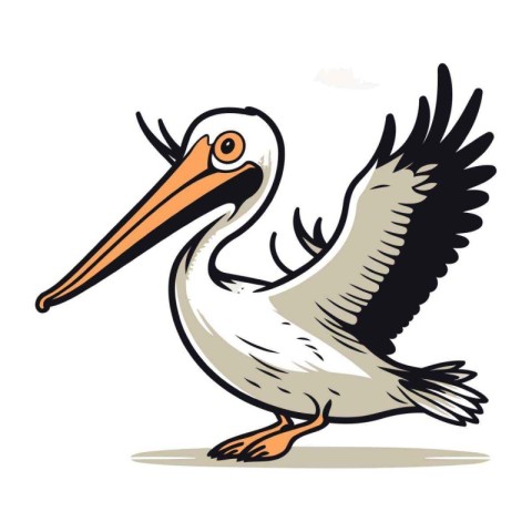 Pelican bird isolated on white background. Vector cartoon illust