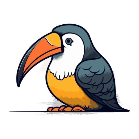 Toucan vector illustration. Cartoon toucan isolated on white bac