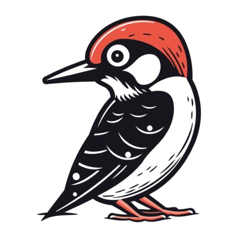 Dendrocopos major. Woodpecker. Vector illustration