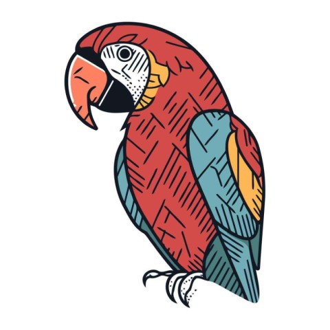 Colorful parrot isolated on a white background. Vector illustrat