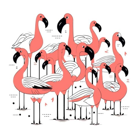 Flamingo. Vector illustration of flamingos on white background.