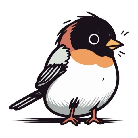 Bullfinch on white background. Vector illustration in cartoon st