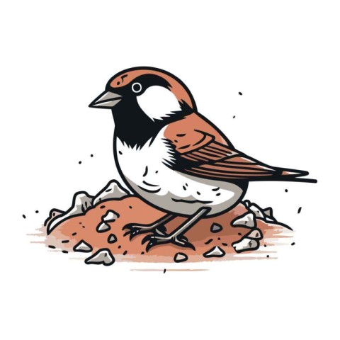 Sparrow. Hand drawn vector illustration of a sparrow.