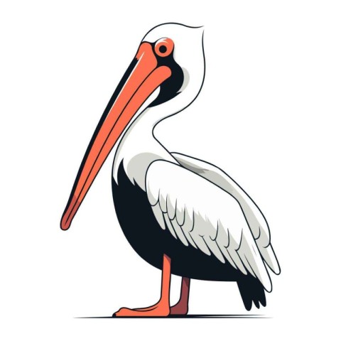 Pelican bird isolated on white background. Cartoon vector illust