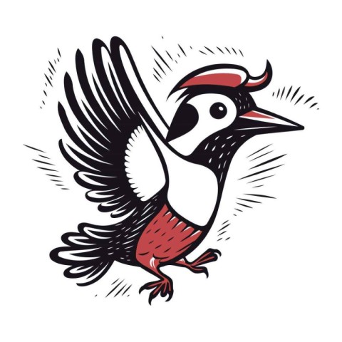 Hand drawn woodpecker isolated on white background. Vector illus