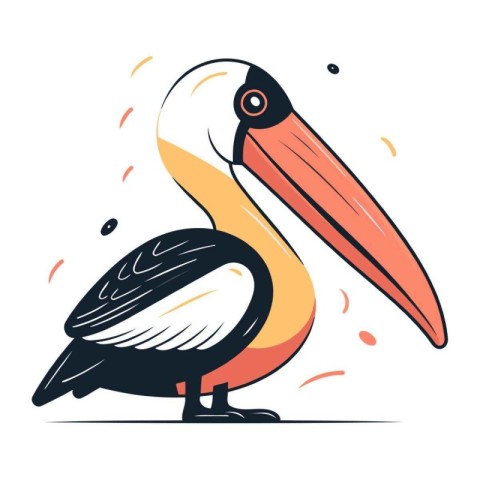 Pelican vector illustration. Isolated pelican on white backgroun