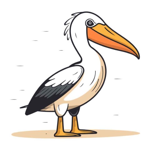 Pelican. Vector illustration of a pelican on a white background.