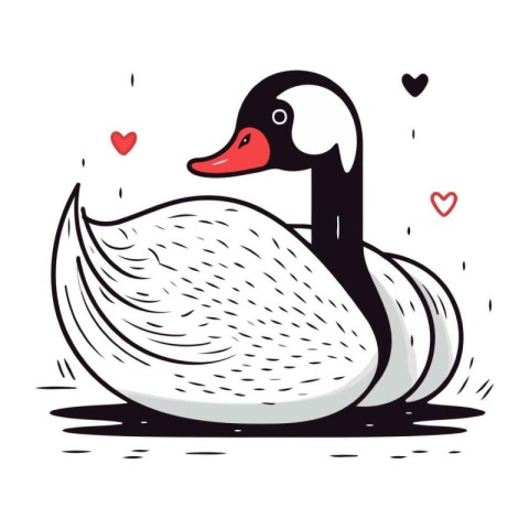 Swan with heart. Vector illustration in doodle style.