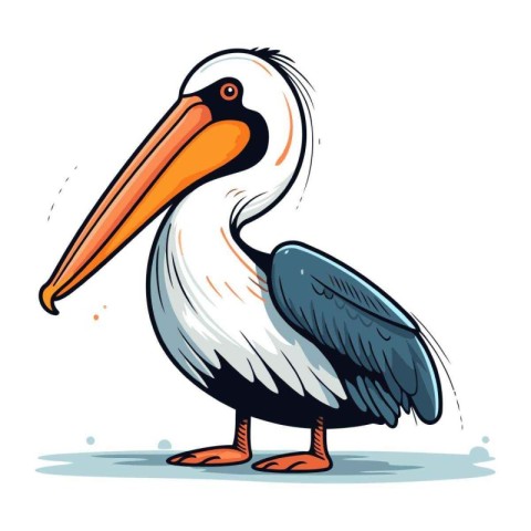 Pelican vector illustration. Cartoon pelican isolated on white b