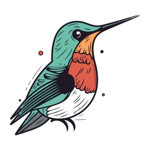 Hummingbird. Hand drawn vector illustration isolated on white ba