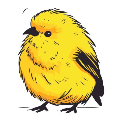 Illustration of a small yellow bird isolated on a white backgrou