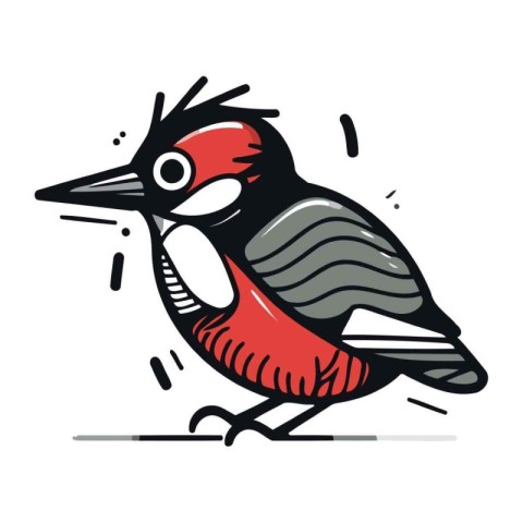 Hand drawn vector illustration or drawing of a woodpecker on whi