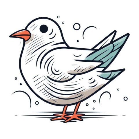 Seagull. Vector illustration of a bird on a white background.