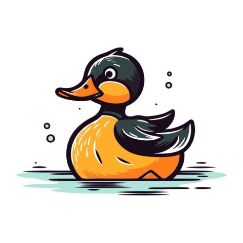 Duck swimming in the water. Vector illustration isolated on whit