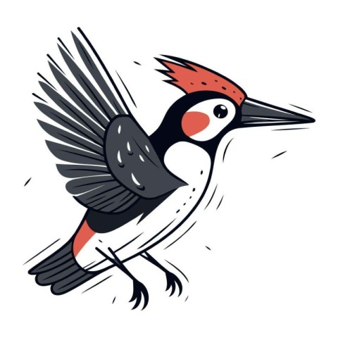 Woodpecker. Hand drawn vector illustration isolated on white bac