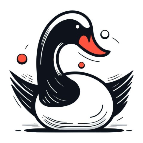 Vector image of a black swan on a white background. isolated