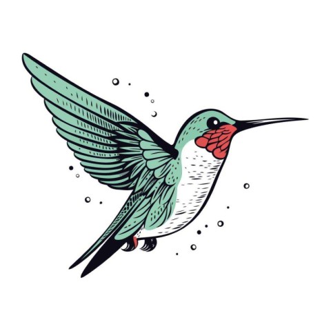 Hummingbird with wings spread. Hand drawn vector illustration in