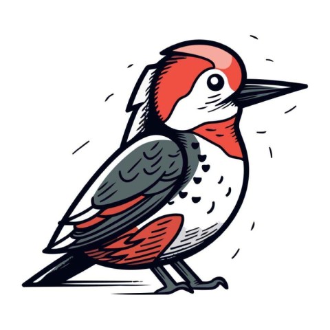 Woodpecker. Hand drawn vector illustration isolated on white bac