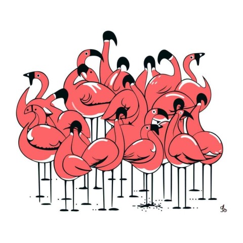 Flamingo. Vector illustration of a group of flamingos.