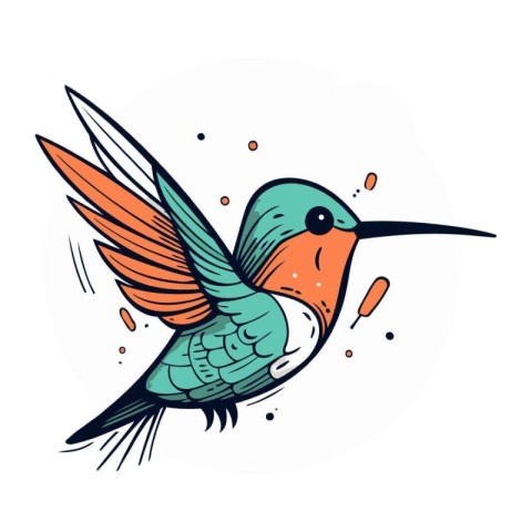 Hummingbird vector illustration. Hand drawn hummingbird in carto