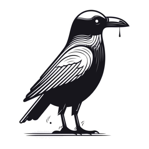 Crow isolated on white background. Vector illustration in vintag