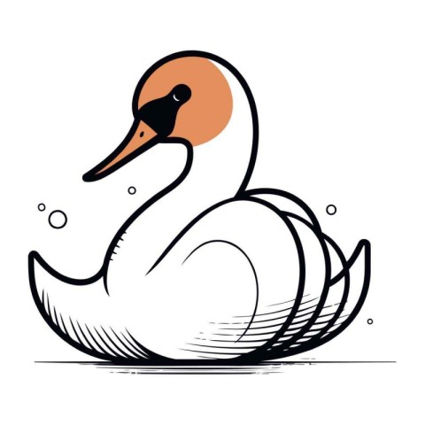 Swan. swan. swan. swan. waterfowl. vector illustration