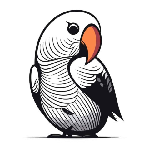 Parrot. black and white vector illustration isolated on white ba