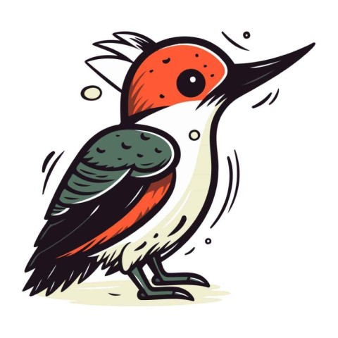 Red bellied Woodpecker. Vector illustration of a bird.