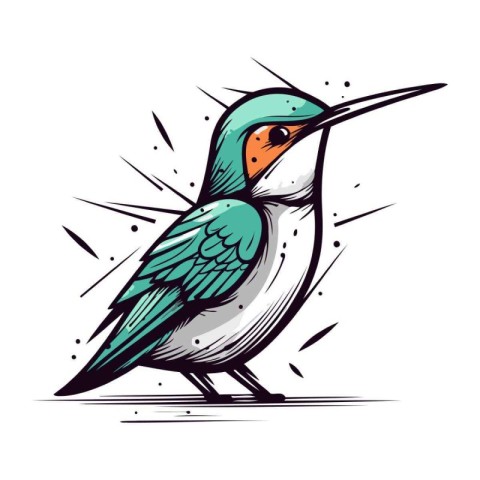 Vector illustration of bird on white background. Hand drawn desi