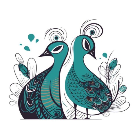 Vector illustration of a pair of peacocks on a white background.