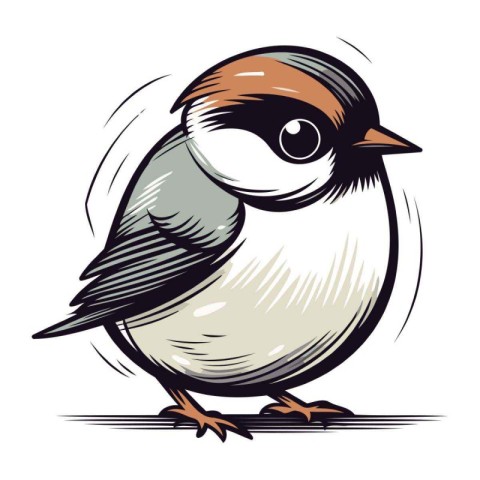 titmouse on white background. vector illustration in hand drawn