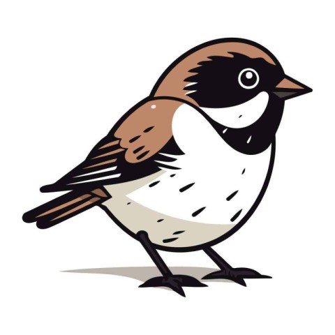 Sparrow bird isolated on a white background. Vector illustration