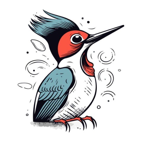 Red backed woodpecker bird. Hand drawn vector illustration.