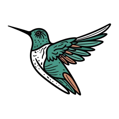 Hummingbird. Hand drawn vector illustration in doodle style