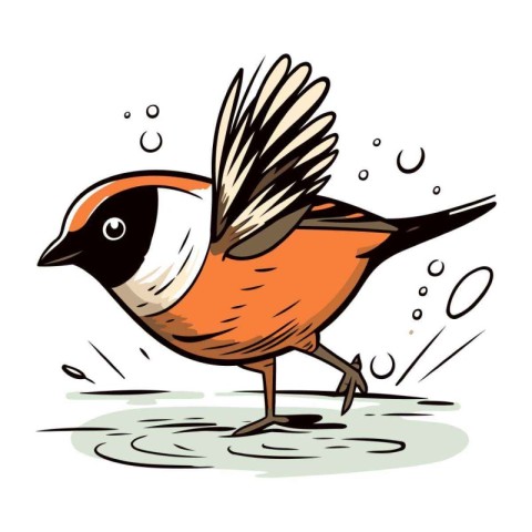 Bullfinch bird. Vector illustration of a bullfinch.