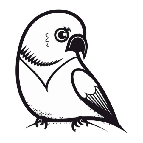 Parrot black and white vector illustration. Isolated on white ba