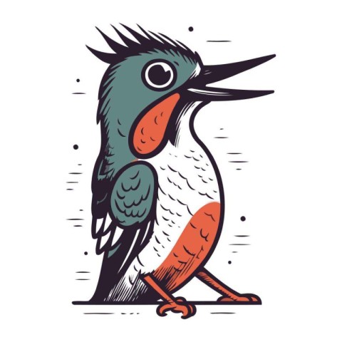 Kingfisher vector illustration. Hand drawn bird isolated on whit