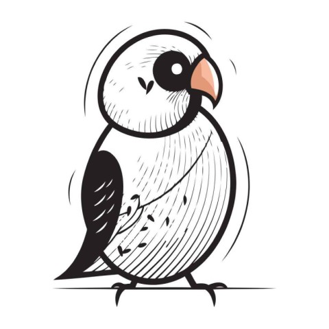 Illustration of a cute cartoon owl on a white background. Vector