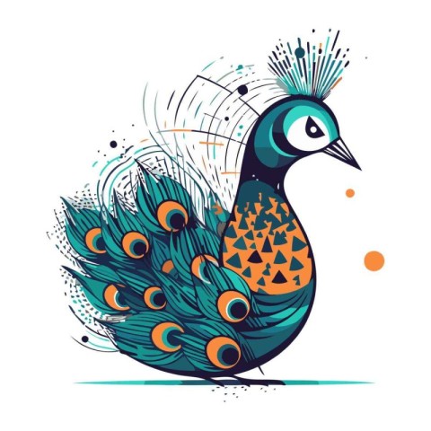 Peacock vector illustration. Hand drawn peacock with feathers.