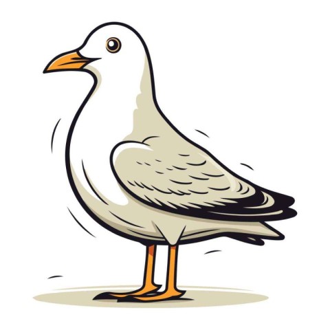 Seagull on white background. Vector illustration of a bird.